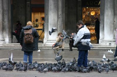 Cliquez pour voir l'image en taille relle